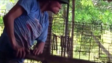 NHÂN QUẢ VAY TRẢ   VAY BAO NHIÊU TRẢ BẤY NHIÊU    XƯA NAY NHÂN QUẢ LUẬT NÀO NỂ  AI