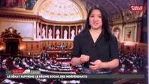 Le Sénat supprime à son tour le RSI - Les matins du Sénat (16/11/2017)