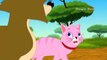 Fox And The Cat - Aesop's Fables In Hindi - Animated Cartoon Tales For Kids