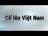 [ASIAN CUP 2015] Lời chúc đến tuyển Việt Nam