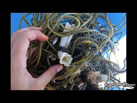 Hayvan Dünya Üzerinde Sadece Ayak İzlerini Bırakır, Biz İnsanlar İse Çöplerimizi Pisliklerimizi