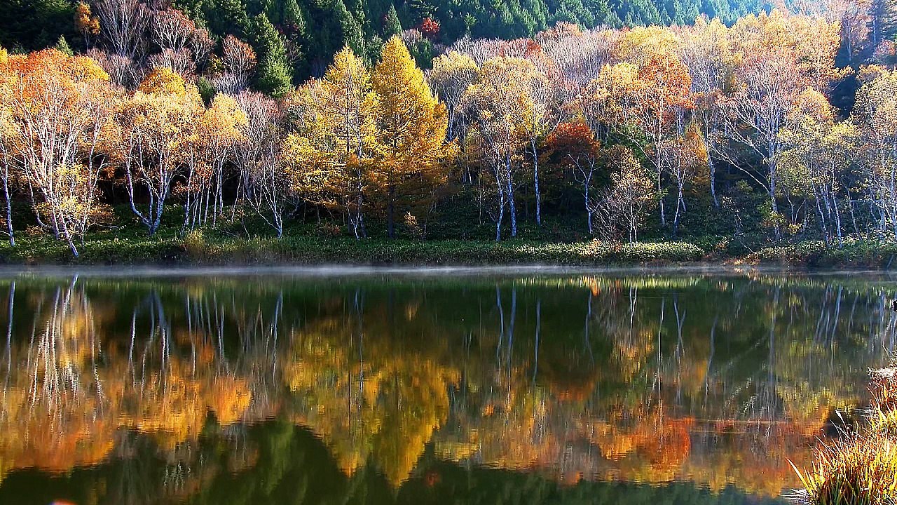 31 - NIEBLA DE ESPERANZA