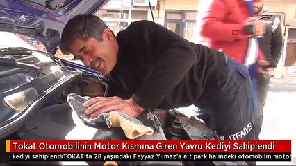 Tokat Otomobilinin Motor Kısmına Giren Yavru Kediyi Sahiplendi