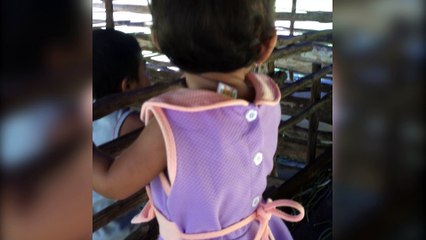 Dimas playing with goats