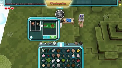 Cubic Castles: How to craft a chest + Tidying up the realm