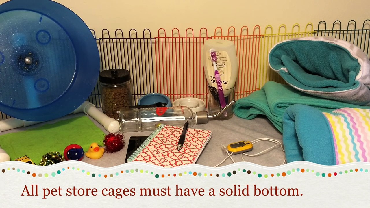 Hedgehog Care: Supplies You Need for a Hedgehog (new)