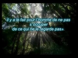 Hadith12 Curiosité