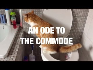 A Tribute to the Glorious Toilet