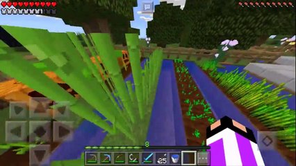 ¡De Visita En El Nether! [Un Batracio En Minecraft Pe] [Serie Survival] [#5]