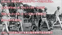 【海外の反応】歴史的悲報!「日本人は本当に身勝手だった！」イギリスの植民地だったシンガポールを日本軍が攻略した、シンガポールの戦いを説明する動画を見た外国人「ありがとう日本。日本は