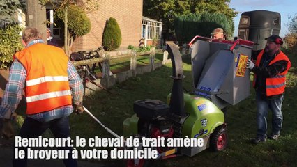 Remicourt: le cheval de trait amène le broyeur à votre domicile