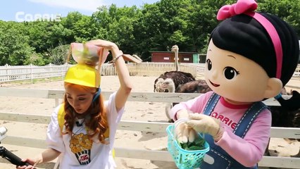 [엘리가 간다] 파주 타조농장에서 거대한 타조알프라이를 만들다! l 엘리앤 투어