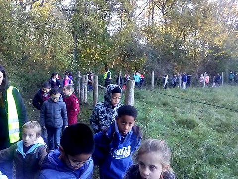 Accueil de Loisirs - Baugé en Anjou