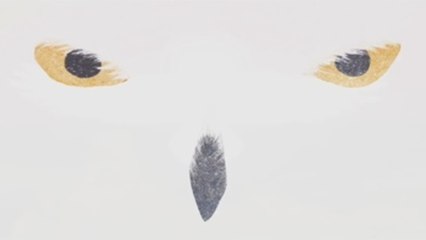 El músico de jazz Snow Owl homenajea a Omayra Sánchez con un vídeo animado