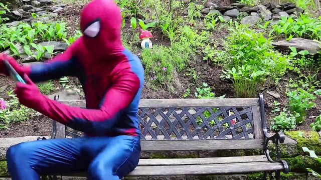 Frozen Elsa BAKES A CAKE w_ Spiderman Decorating Bakery Challenge Fun Superhero in real life IRL | Superheroes | Spiderman | Superman | Frozen Elsa | Joker