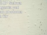 P4L  6 kompatible Patronen MIT CHIP Schwarz cyan magenta yellow photocyan photomagenta
