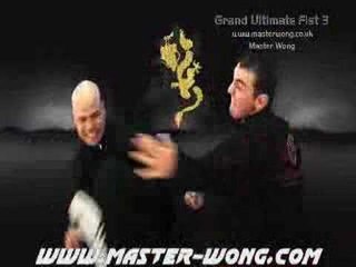 Tai Chi Training on YouTube With Master Wong