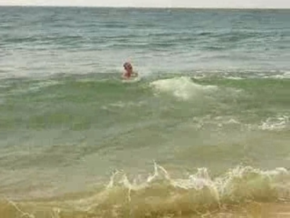 cduplongeon