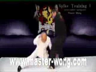 JKD Training on YouTube With Master Wong