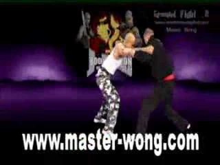 JKD Training on YouTube With Master Wong