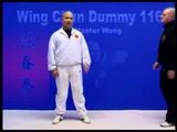 Wing Chun Training on YouTube With Master Wong