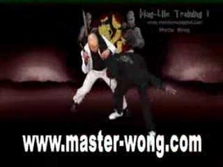 JKD Training on YouTube With Master Wong