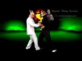 JKD Training - Master Wong JKD EPS 9