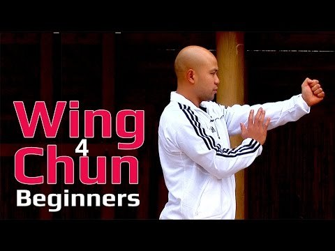 Wing Chun for beginners lesson 11: basic hand exercise/ static triple punch