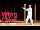 Wing Chun Lesson for beginners 12: basic hand exercise/static bong sau with chop