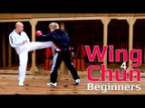 Wing Chun for beginners lessons 19: basic hand exercise/ static blocking for high kicks
