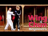 Wing Chun for beginners lesson 28: combo/ blocking straight punch and counter with a stomp kick