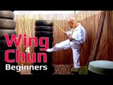 Wing Chun for beginners lesson 60:Full energy drill & Training courses