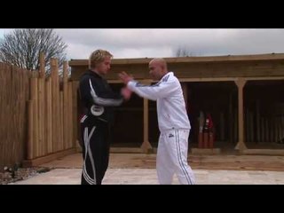 Twins Belly Protective  Form Master Wong Shop
