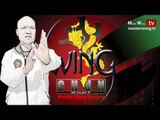 Wing Chun kung fu  (Biu Jee)