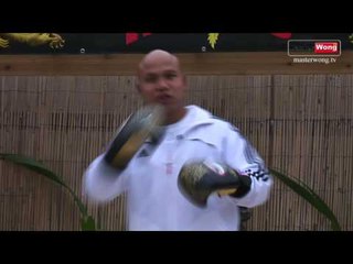 Twins Dragon Pattern Boxing Gloves HD