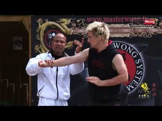 Wing Chun energy drill basic training - Lesson 7 Grab Hand