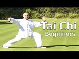 Tai chi chuan for beginners - Taiji Yang Style form Lesson 2