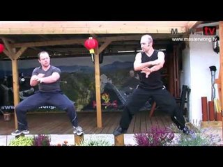Wing Chun apprentice 1 - Training Lesson 5