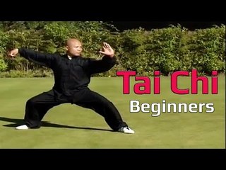 Tai chi chuan for beginners - Taiji Canon Fist Chen Style 1 Part 2