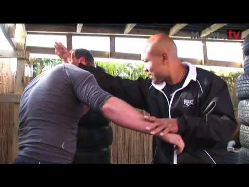 Wing Chun apprentice 1- Training Lesson 2