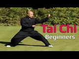Tai chi chuan for beginners - Taiji Canon Fist Chen Style 1 Part 3