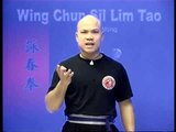 Wing Chun kung fu siu lim tao - form  applications Lessons 4-10