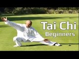Tai chi chuan for beginners - Taiji Yang Style form Lesson 7