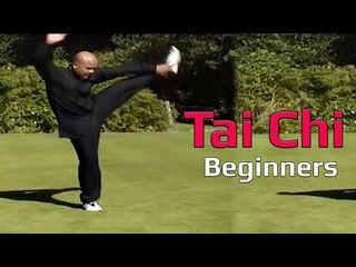 Tai chi chuan for beginners - Taiji Canon Fist Chen Style 1 Part 8