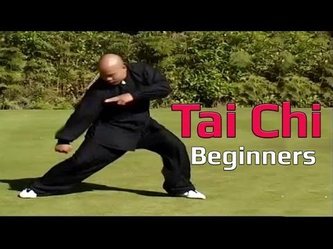 Tai chi chuan for beginners - Taiji Canon Fist Chen Style 1 Part 4