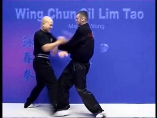 Wing Chun kung fu siu lim tao - form  applications Lessons 9-10