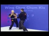 Wing Chun kung fu Chum Kiu form applications Lessons 3-6