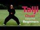 TaiJi chuan for beginners -Tai Chi Canon Fist 2 Chen style Lesson 2