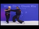Wing Chun kung fu Chum Kiu form applications Lessons 1-6