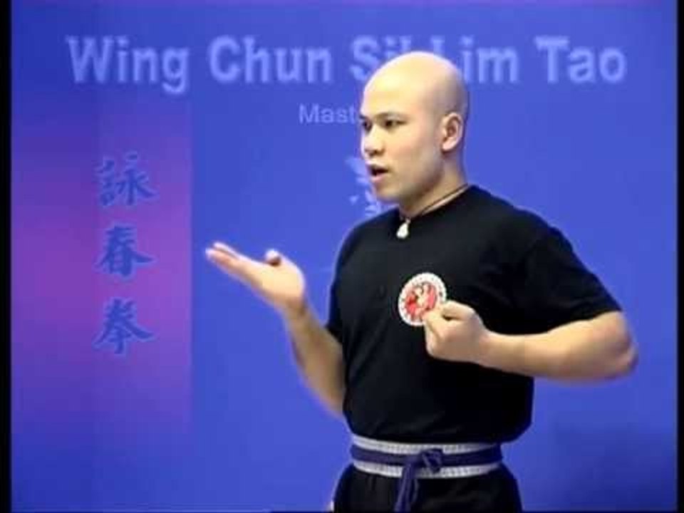 Wing Chun kung fu siu lim tao - form  applications Lessons 3-10